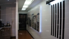 Decoration meshcut Production 43